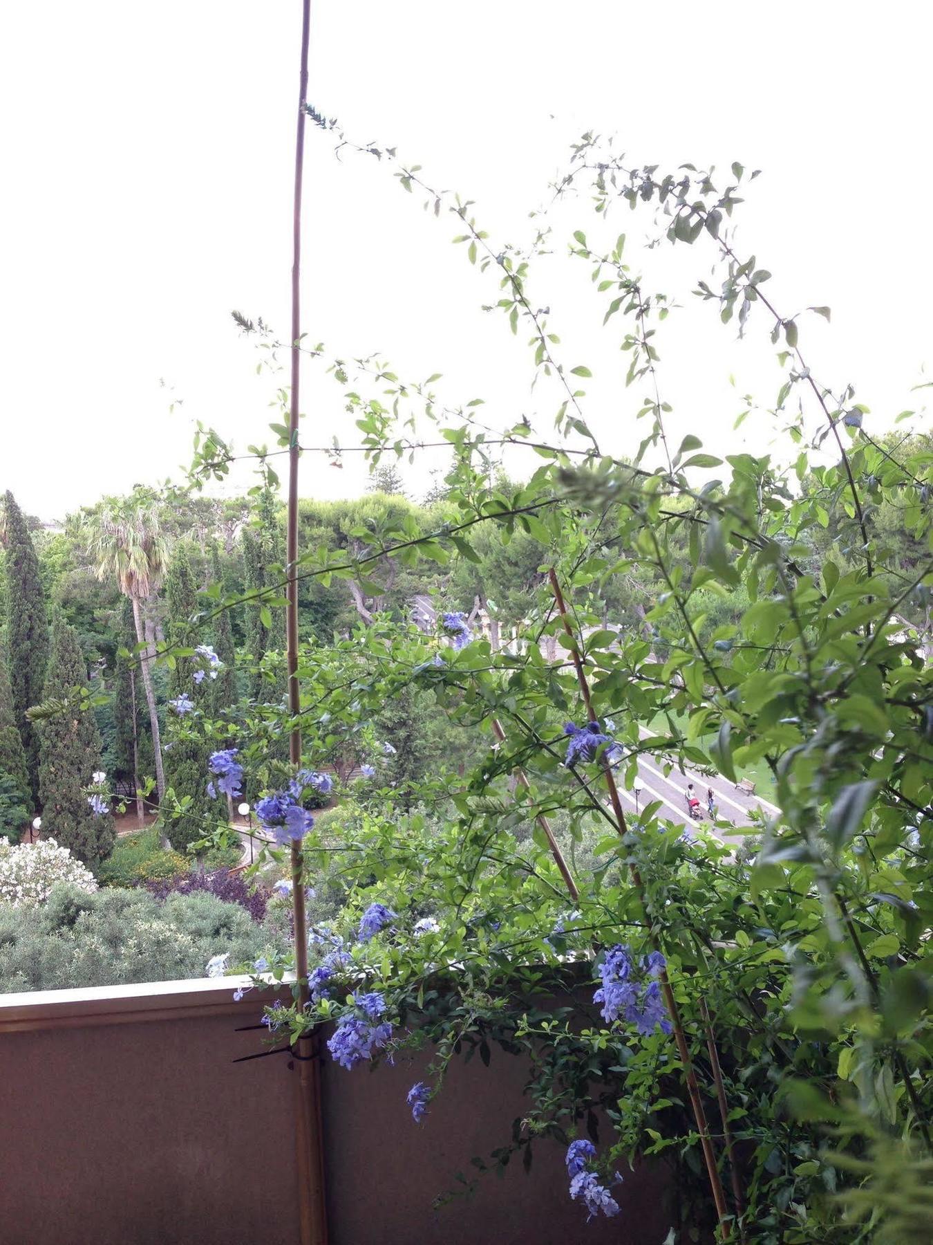 Larala' Bed & Breakfast Lecce Exterior foto