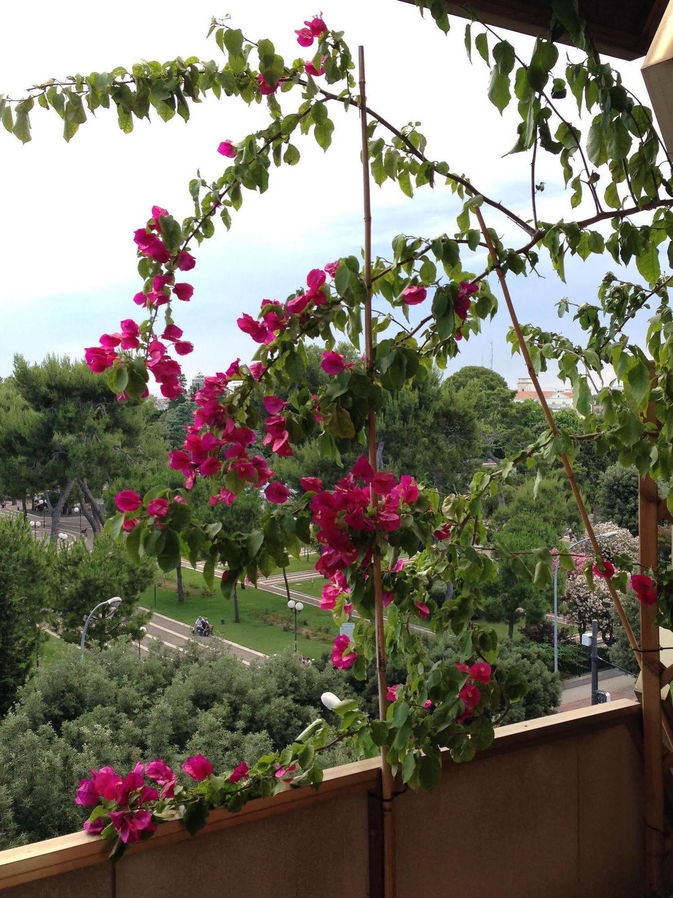 Larala' Bed & Breakfast Lecce Exterior foto